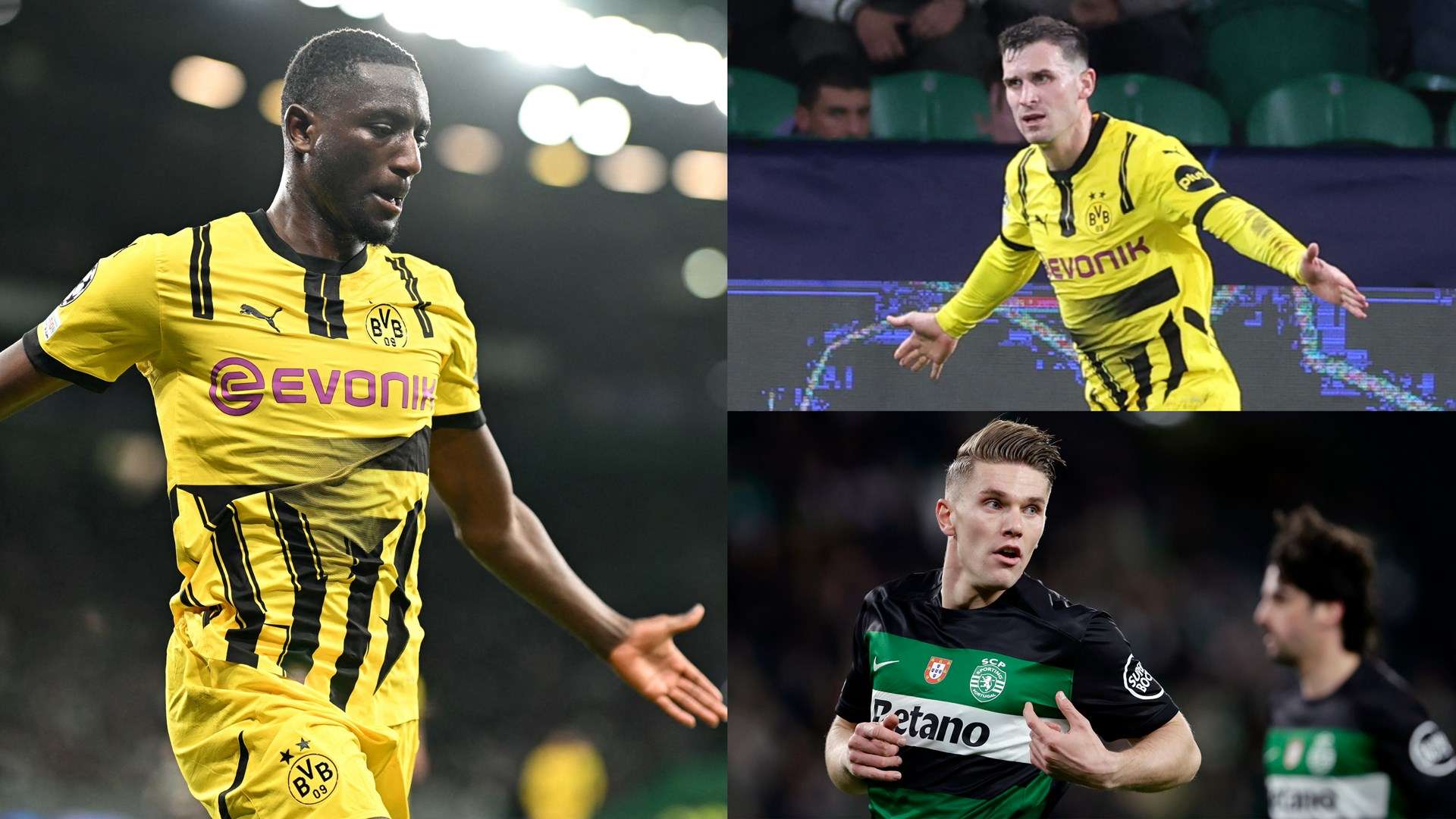 备受瞩目的 备受瞩目的